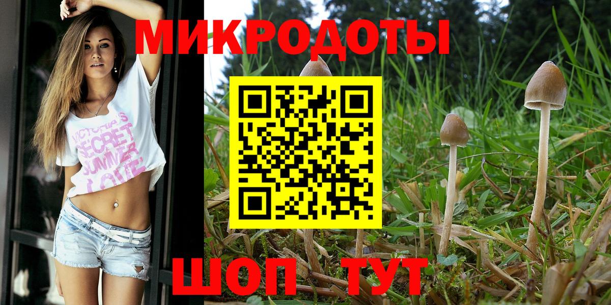 Псилоцибиновые грибы Psilocybine cubensis  Вход с VPN  Луховицы 