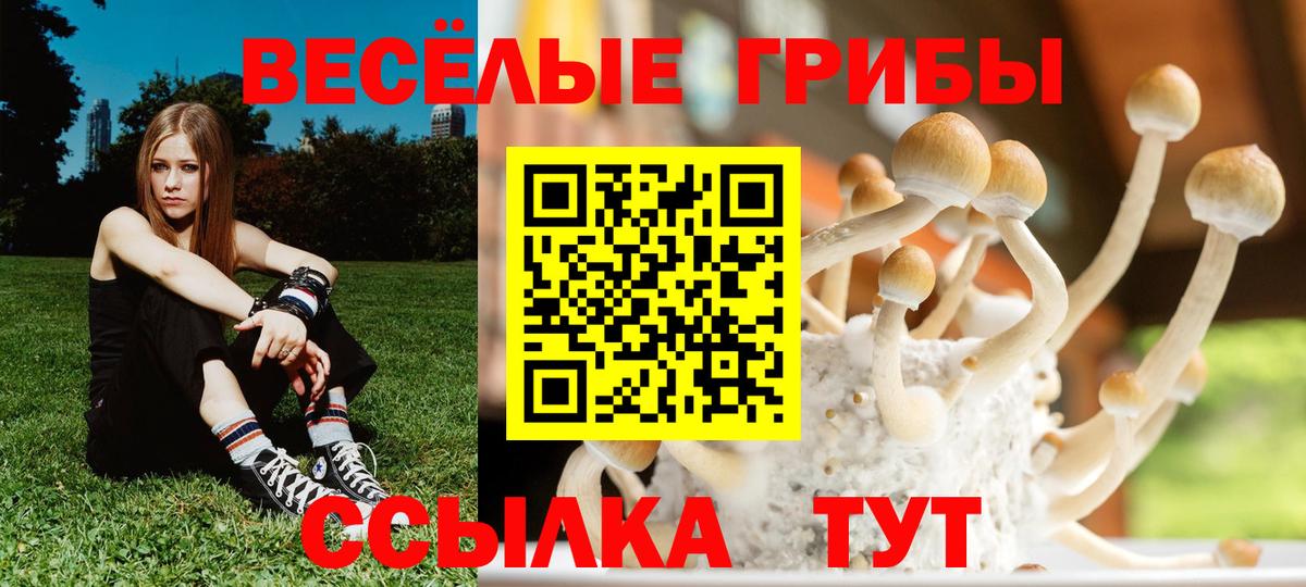 Галлюциногенные грибы ЛСД Луховицы
